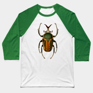 Insect life Baseball T-Shirt